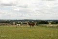 The Forge, Lidlington-67.jpg