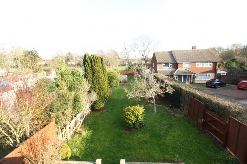 rear garden 1.JPG