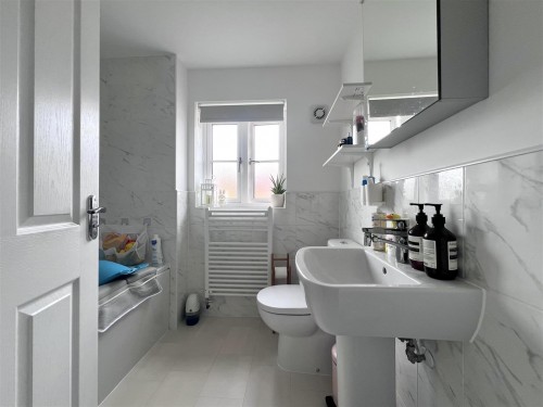 IMG_1382.jpeg
