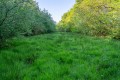 Dunsland Cross, Brandis Corner, Holsworthy - Thumbnail 22
