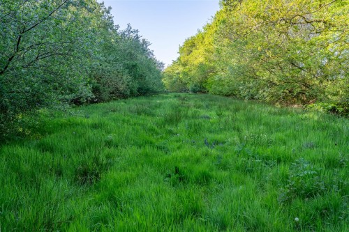 Dunsland Cross, Brandis Corner, Holsworthy - Photo 22