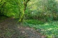 Dunsland Cross, Brandis Corner, Holsworthy - Thumbnail 28