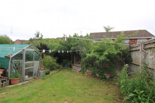 Garden.JPG