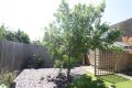 Magenta Close, Bletchley, Milton Keynes - Thumbnail 17