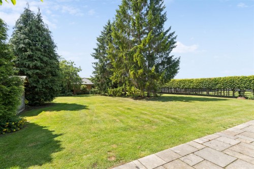 DSC03458-9ff44bb1c94d300204bef125376b5c58.jpg
